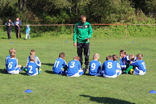 JiuyouAPP下载-意甲攻守大比拼：速度与战术的融合！，意甲战术强在哪里